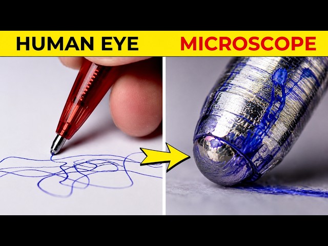 Hidden Things Only See Under a Microscope | Fact Effect