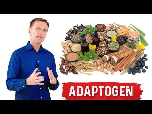 What are Adaptogens? – Ashwagandha Explained by Dr. Berg