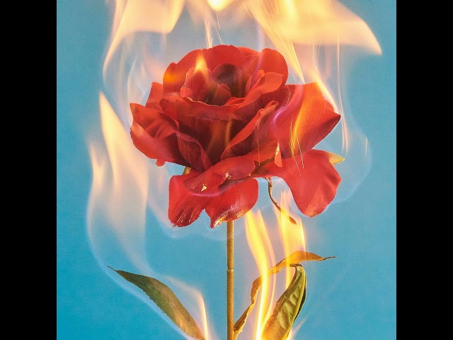 The Death of Romance