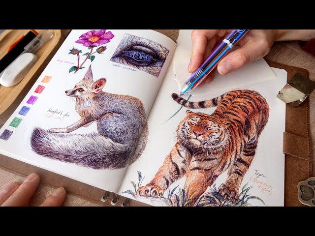 1H of Drawing with 1 Multicolor Ballpoint Pen ✍🏼