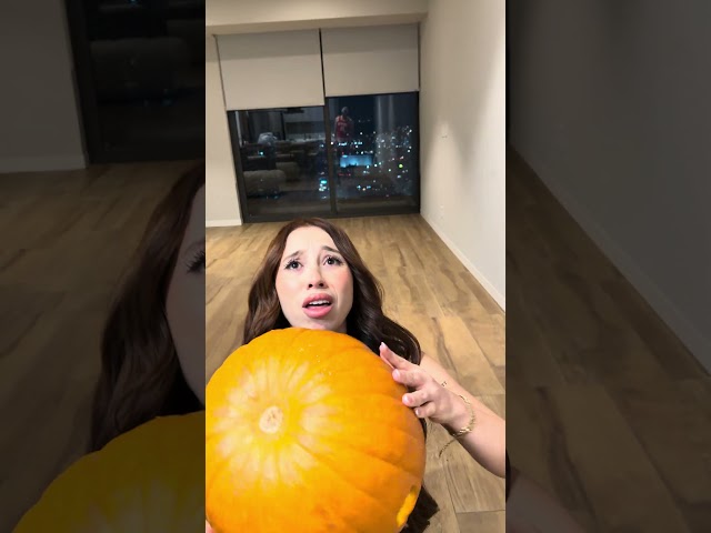 My favorite pumpkin 😂🎃