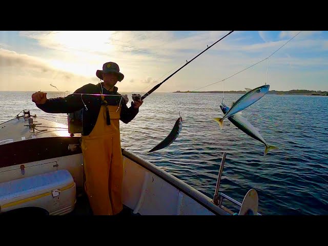 Mackerel Bass & Lobsters ! Fun Day Fishing a Flat Calm Day 