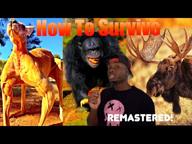 How to Not Get Unsubscribed from Life by Animals