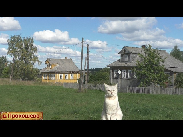 Тихая и скромная деревня в глубинке Костромской области. Неторопливая жизнь в деревне.