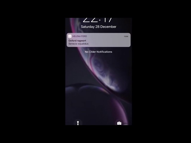React Native + Firebase Manage Push Notifications During The App Lifecycle on iOS & Android Demo