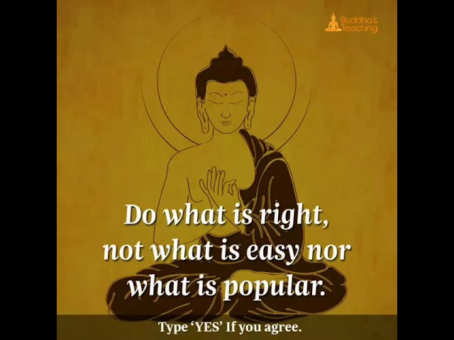 Buddhist wisdom