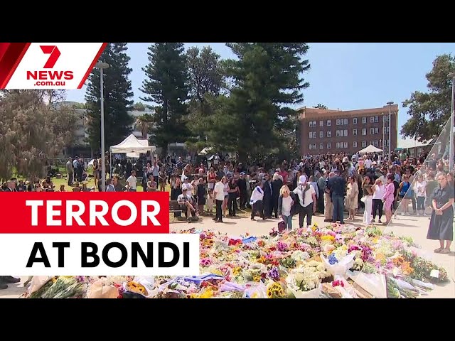 Bondi Beach terror attack claims 16 lives | 7NEWS