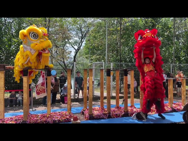 Acrobatic Lion Dance Setapak Central