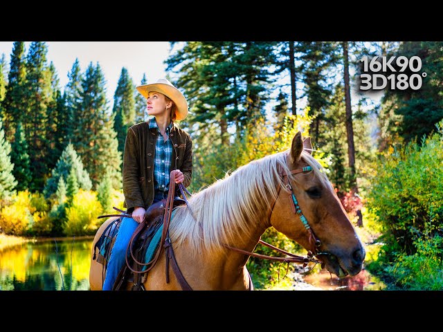 Aspen Fall Colors in 3D VR180 | Relaxation & Horseback Ride Experience