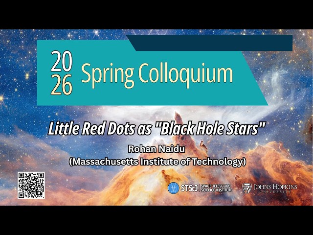 Little Red Dots as "Black Hole Stars"