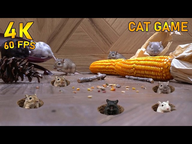 Cat Game: The Ultimate Interactive Burrow Hunt for Your Curious Kitty! 🐭🌽🐱