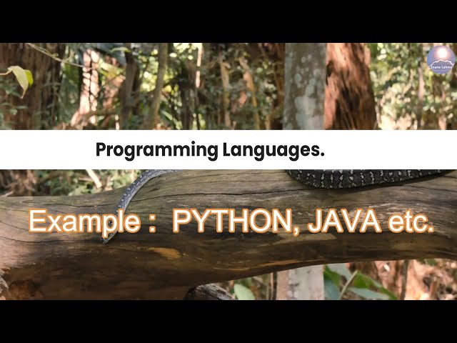 What is a Programming Language ? | #PythonBasics Brush Up Card #1 | #Python 🐍