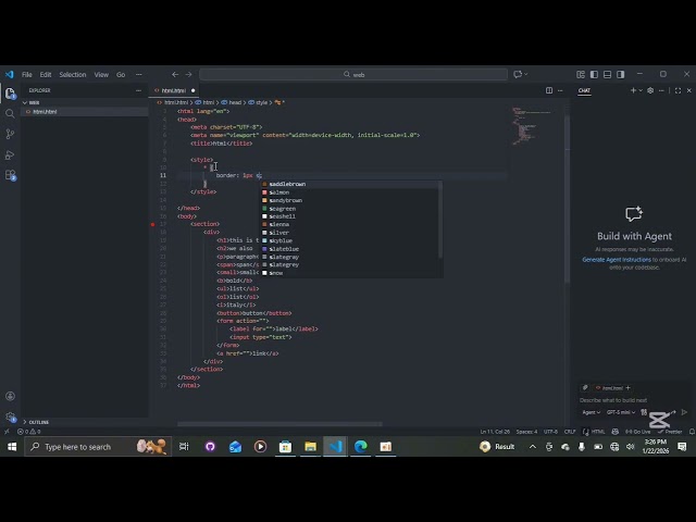 CSS Universal Selector Practical Tutorial