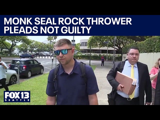 Accused monk seal rock thrower pleads not guilty in Hawaii court | FOX 13 Seattle