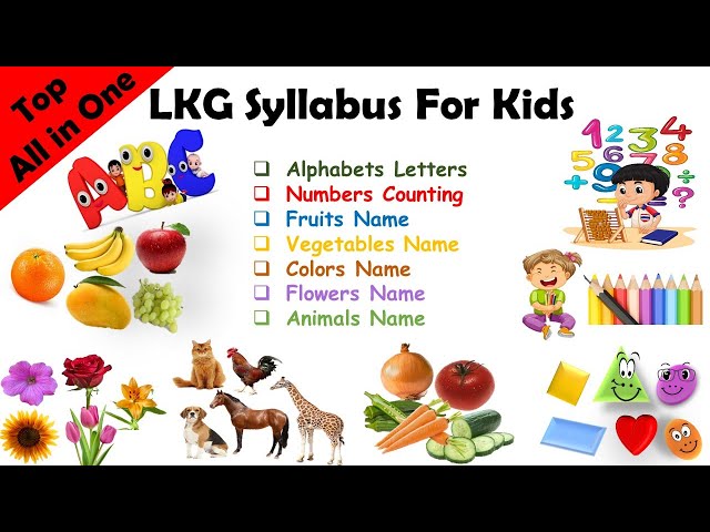 Preschool Complete Course| Learn ABCs, Colors, 123s, Phonics, Counting, Numbers, Animals, Birds etc.