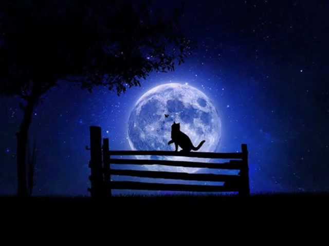 japa jiva jive by Nick108