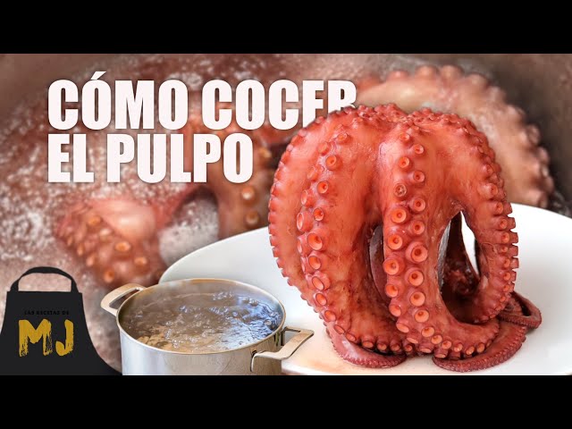 Cómo cocer pulpo en casa: todos los trucos