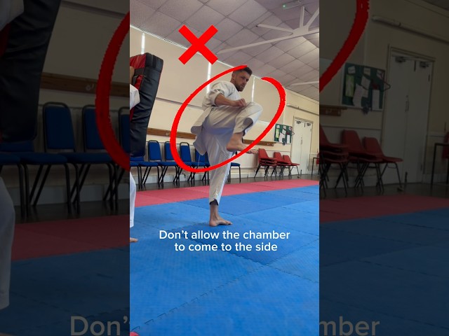 Improve your Karate back kick - ushiro Geri #karate #martialarts #shotokan #kicks