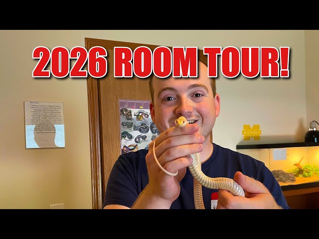 Reptile Room Tour 2026!