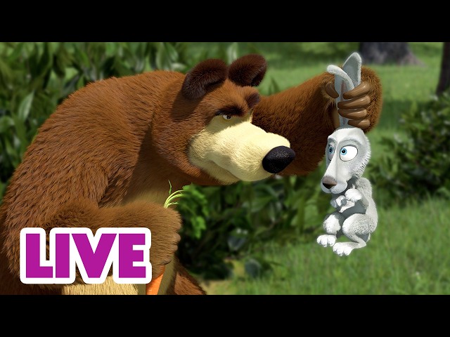 🔴 LIVE ⭐ Masha y el Oso 2026 🙈 ¿Jugamos al escondite? 🎬 Dibujos Animados en español