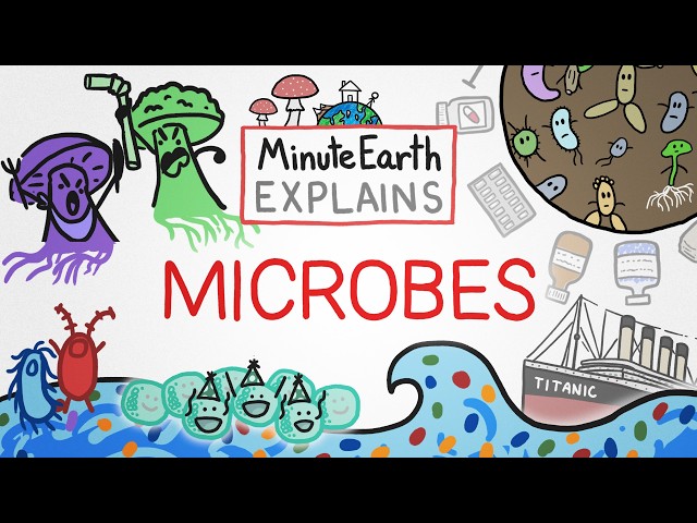 MinuteEarth Explains: Microbes