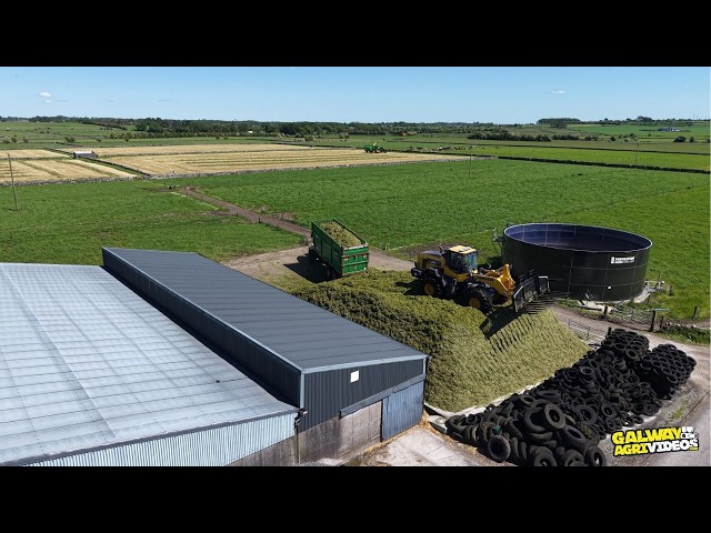 Walsh Agri  - Silage 2026