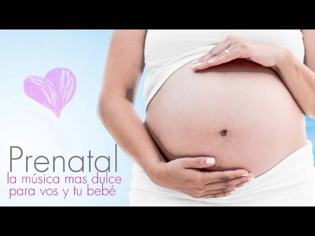Prenatal, la música mas dulce para vos y tu bebé (FULL ALBUM)