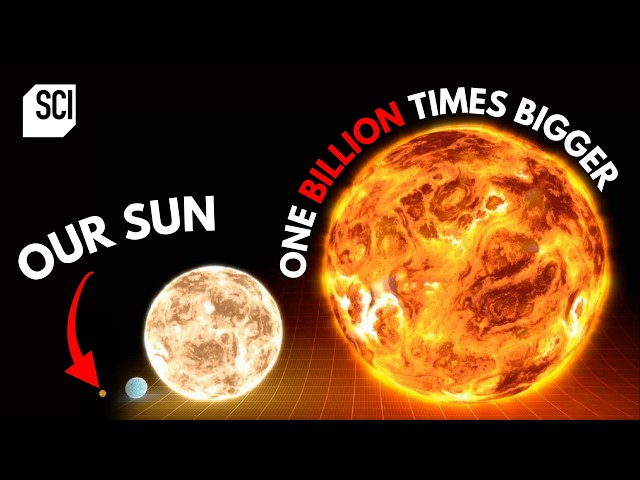 The Universe's Biggest Stars ☀️⭐️ How the Universe Works | Science Channel