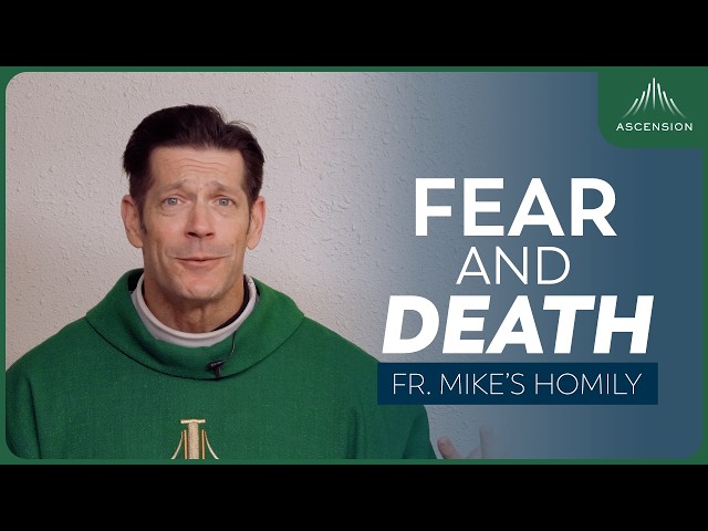 "The Moment of Moments" | 12th Sunday in Ordinary Time (Fr. Mike's Homily) #sundayhomily