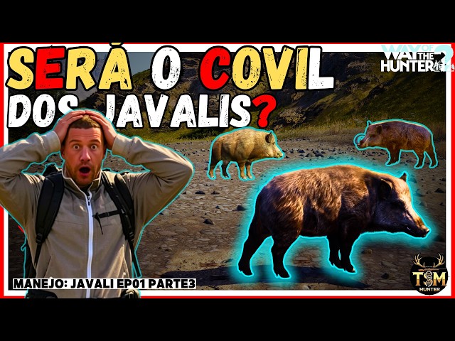 I FOUND A SPOT LOADED WITH ANIMALS,🐗 CLEANED HOUSE💀 | WILD BOAR MANAGEMENT EP01 PART 3 IN WOTH2