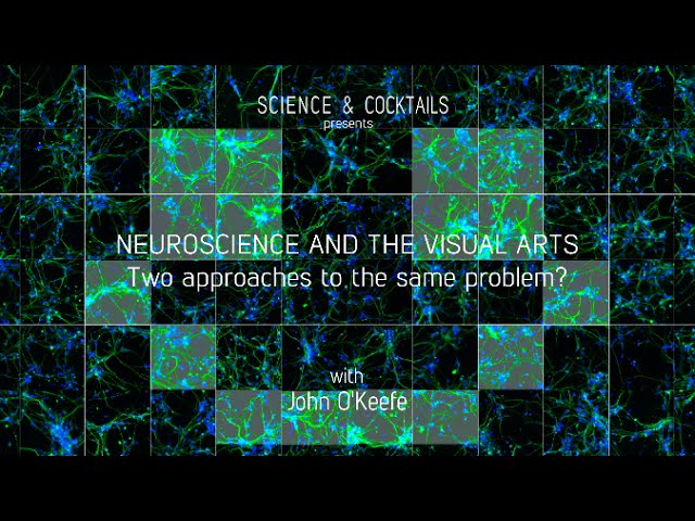 Neuroscience and the visual arts with John O'Keefe