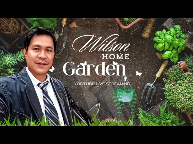 Wilson Home Garden is live#67
