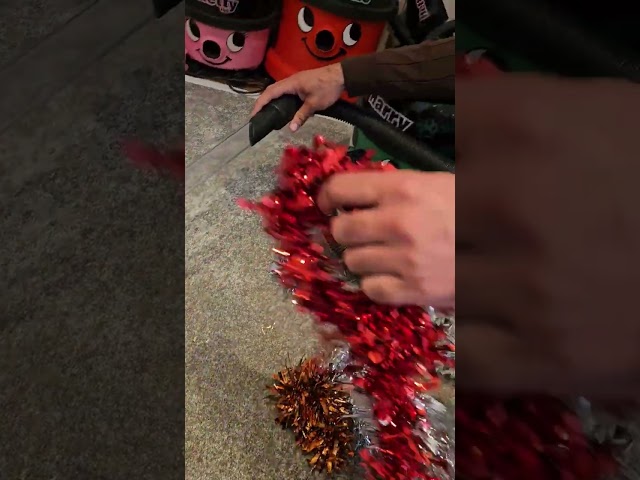 Harry munches tinsel #henry #harry #asmr #vacuum #foryoupage
