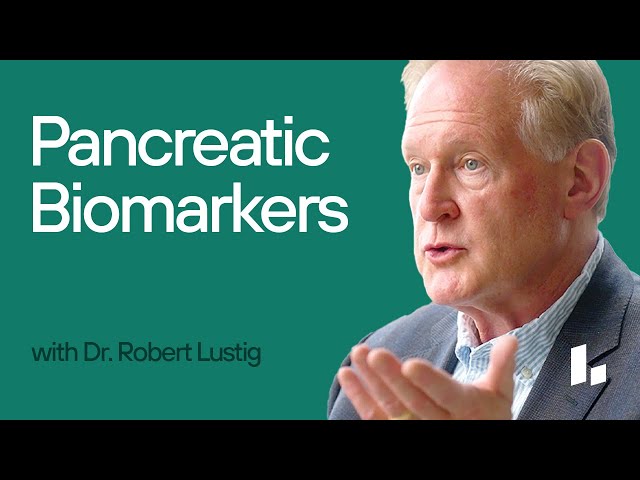 Key BLOOD TEST Results Explained that Tell You About Your PANCREAS Health  | Dr. Robert Lustig