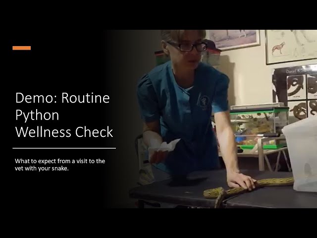 Demonstration: Routine Physical Exam of a Python