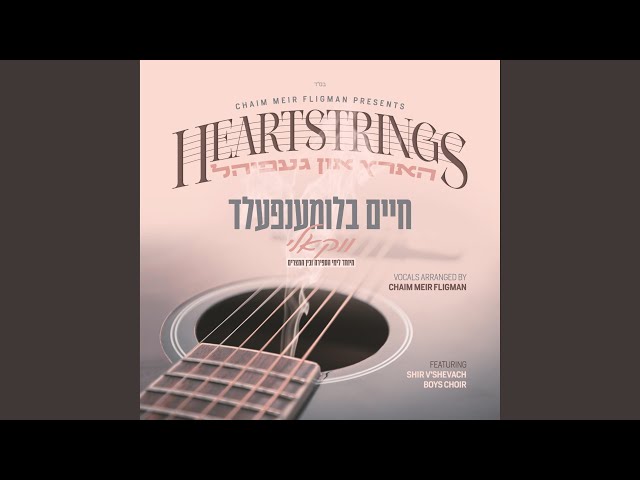 Nor Er Ken (feat. Shir V'shevach Boys Choir & Chaim Meir Fligman)