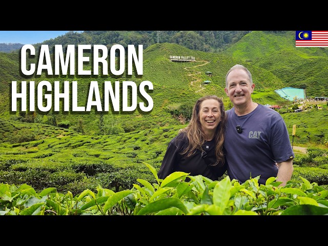 Cameron Highlands Day Trip from Ipoh 🇲🇾 Tea, Durian & Blow Darts