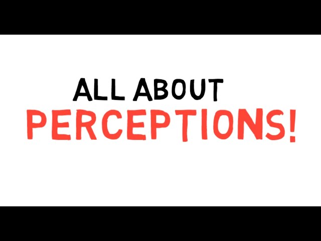 Game of your Mind - What is Perception?
