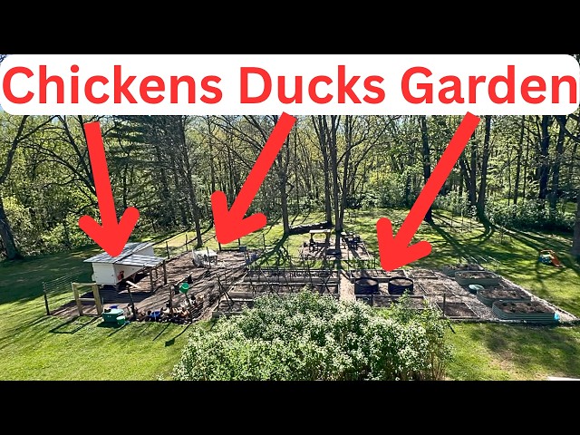 1 Acre Homestead Tour: 5 Systems That Make Us More Self-Sufficient