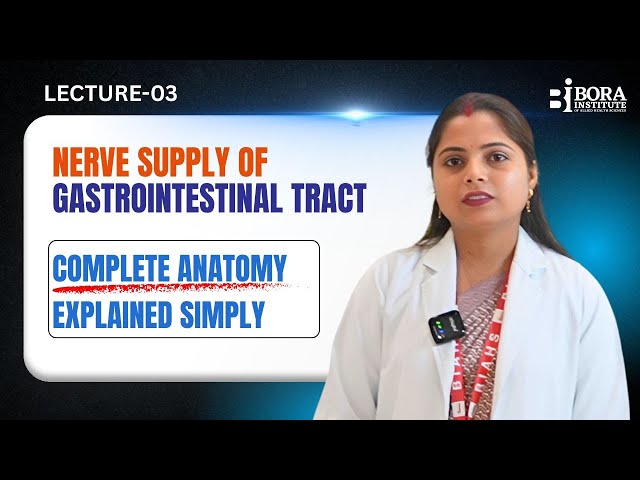 Gastrointestinal Tract Nerve Supply Explained | Parasympathetic & Sympathetic System #nursingcollege