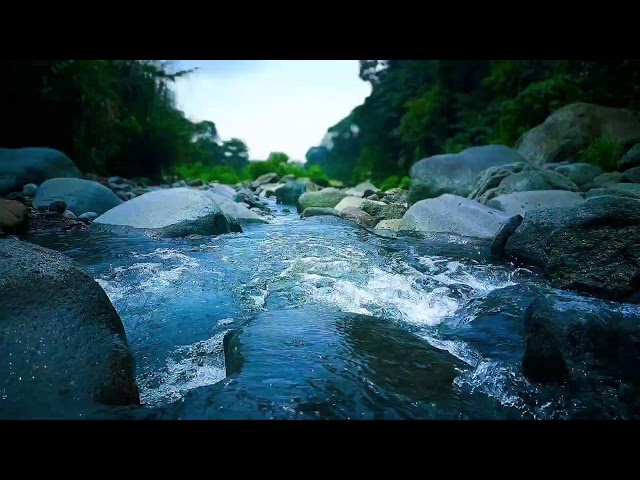 🌿 Peaceful Mountain Stream ASMR Sounds for Deep Sleep, Calm Focus & Relaxation