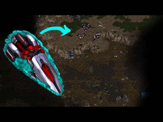 A Vulture-Only Defense?