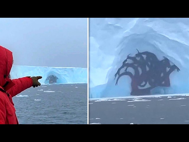 85 Strange Things Happening Right Now Around the World [Caught on Camera Edition]
