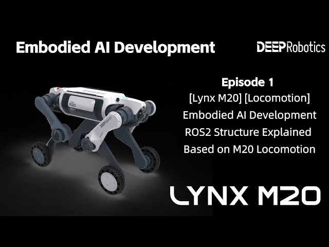 Lynx M20 | [Locomotion] Embodied AI Development ROS2 Structure Explained Based on M20 Locomotion