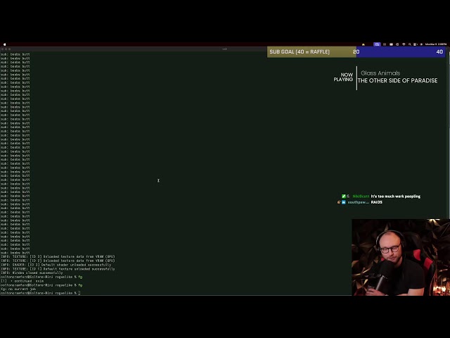 Learning C++ and raylib
