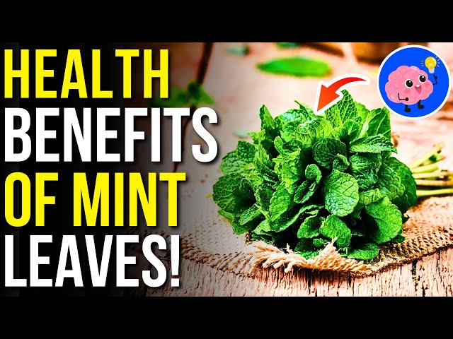 8 Benefits of Mint Leaves You Should Know! | Mint Leaves Benefits