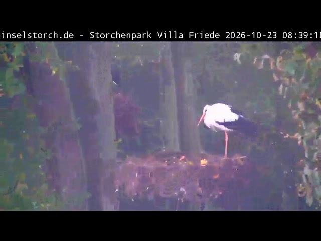 Storchenpark in Wyk auf Föhr