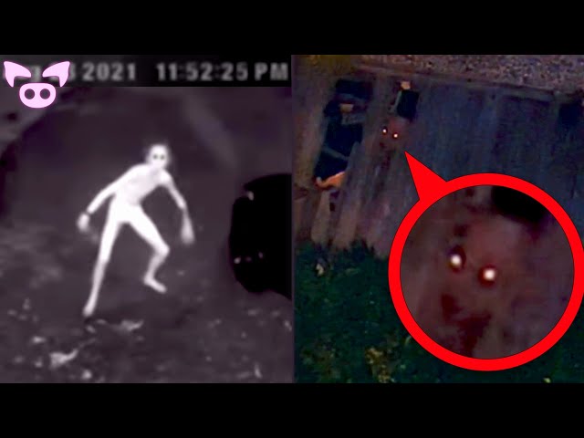 The Scariest Cryptid Videos Ever Captured