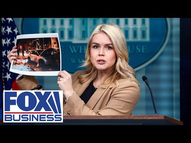 Karoline Leavitt EXPLODES on left-wing 'HACK' journalist