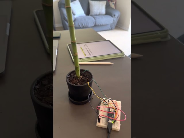 Plant Communicator Spring 2023